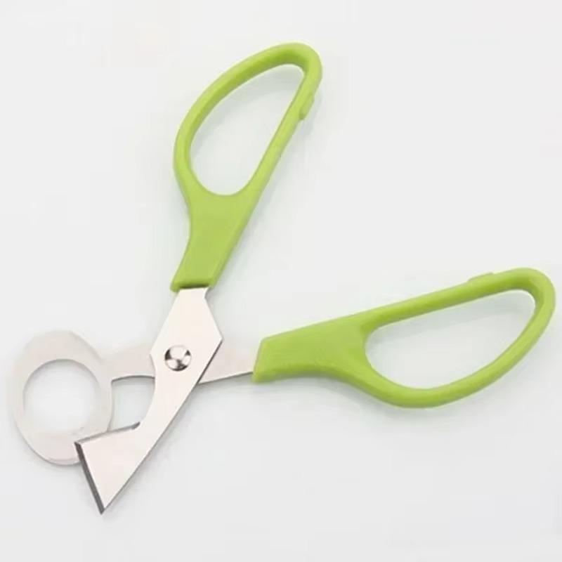 حمامة السمان البيض مقص القاطع  - مراجعة Kitchen Gadgets That Are Useful وسعره