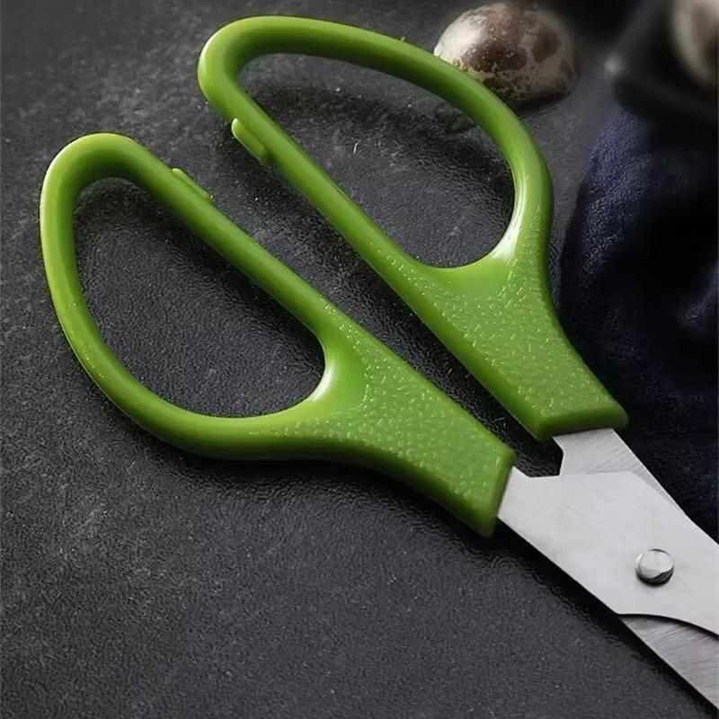 حمامة السمان البيض مقص القاطع  - مراجعة Kitchen Gadgets That Are Useful وسعره