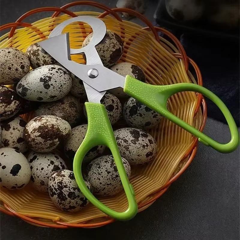 حمامة السمان البيض مقص القاطع  - مراجعة Kitchen Gadgets That Are Useful وسعره